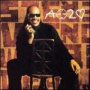 A Time To Love — Stevie Wonder
