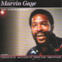 In Concert — Marvin Gaye