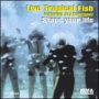 Shape Your Life — Live Tropical Fish