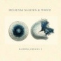 Radiolarians I — Medeski, Martin & Wood