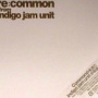 Re:Common — Indigo Jam Unit