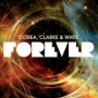 Forever — Stanley Clarke