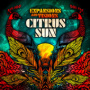 Expansions And Visions — Citrus Sun