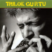 Broken Rhythms — Trilok Gurtu