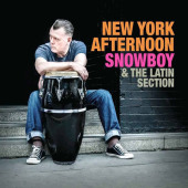 New York Afternoon — Snowboy