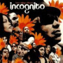 Bees + Things + Flowers — Incognito