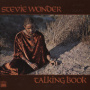 Talking Book — Stevie Wonder