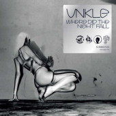 Where Did The Night Fall — UNKLE
