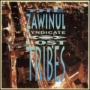 Lost Tribes — Joe Zawinul