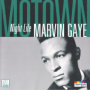 Night Life — Marvin Gaye