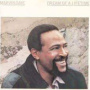 Dream Of A Lifetime — Marvin Gaye