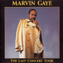 The Last Concert Tour — Marvin Gaye