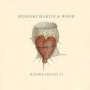 Radiolarians II — Medeski, Martin & Wood