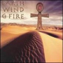 In The Name of Love — Earth, Wind & Fire