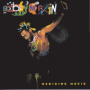 Medicine Music — Bobby McFerrin