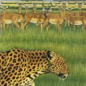 Zoo — Fantastic Plastic Machine