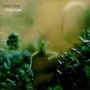 Katy Lied — Steely Dan