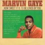 How Sweet It Is To Be Loved By You — Marvin Gaye