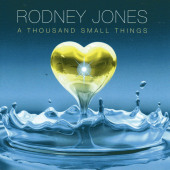 A Thousand Small Things — Rodney Jones