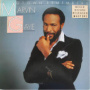 Motown Remembers Marvin Gaye — Marvin Gaye